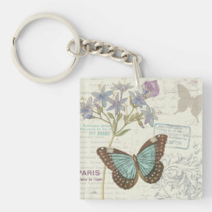 Papillon bleu et Brown