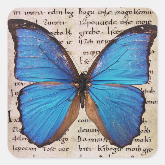 Papillon bleu Morpho sur la page du livre Stickers (Devant)