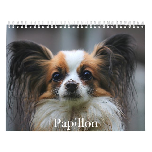 Papillon Calendar (Cover)