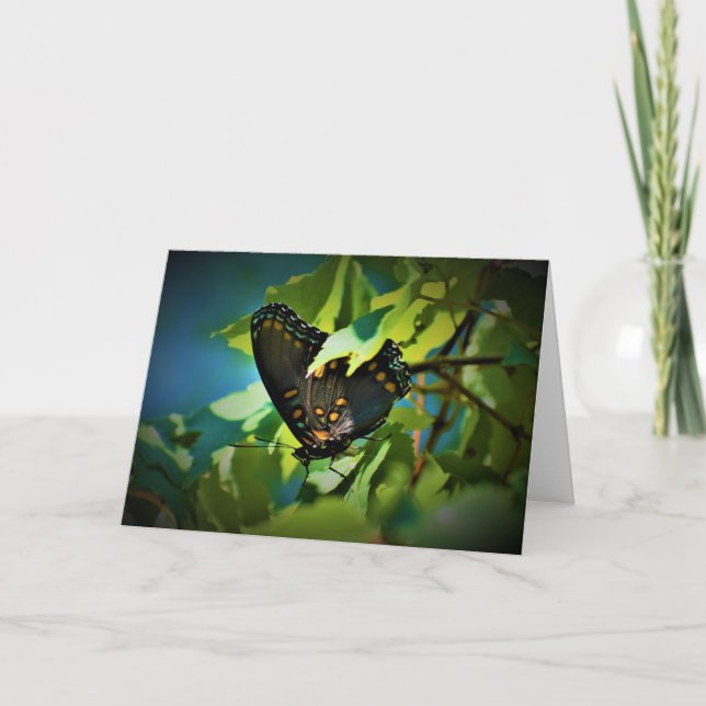 Papillon, carte (Devant)