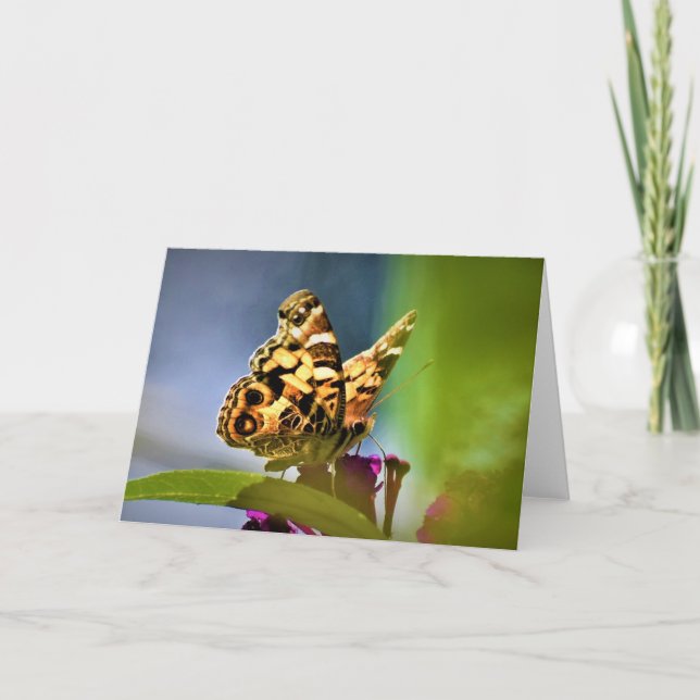 Papillon, carte (Devant)