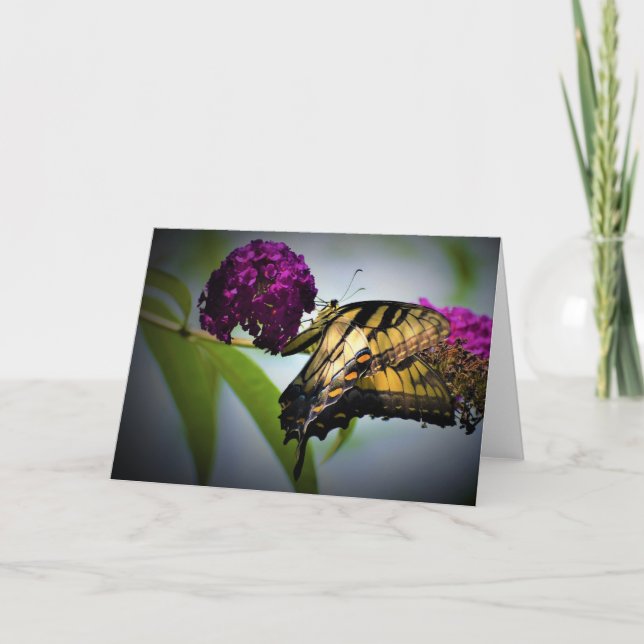 Papillon, carte (Devant)