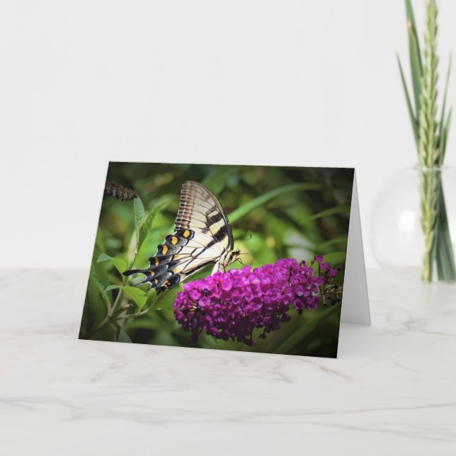 Papillon, carte (Devant)