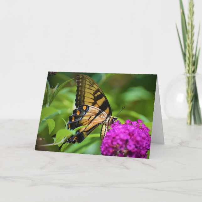 Papillon, carte (Devant)