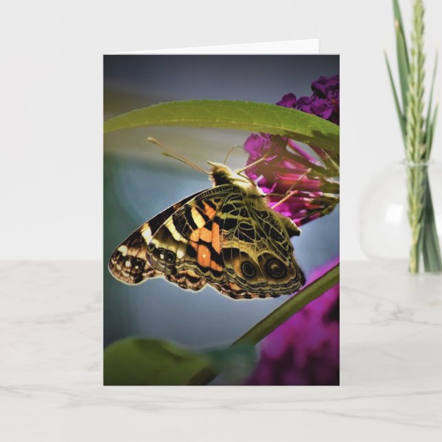 Papillon, carte (Devant)