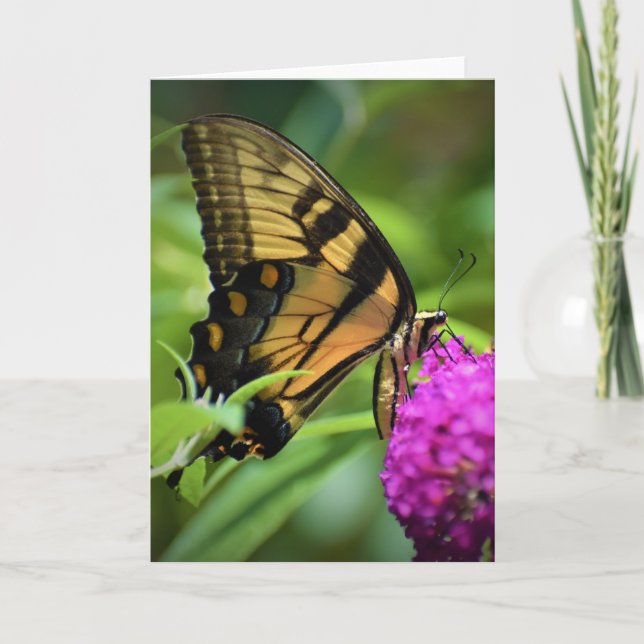 Papillon, carte (Devant)