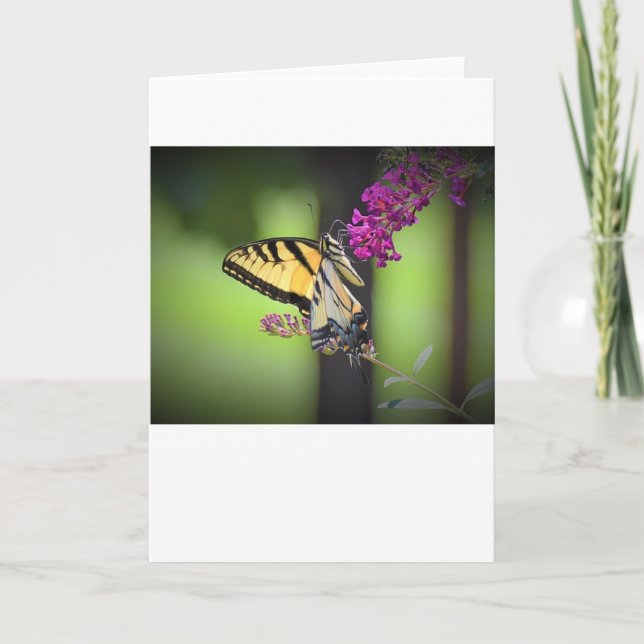 Papillon, carte (Devant)