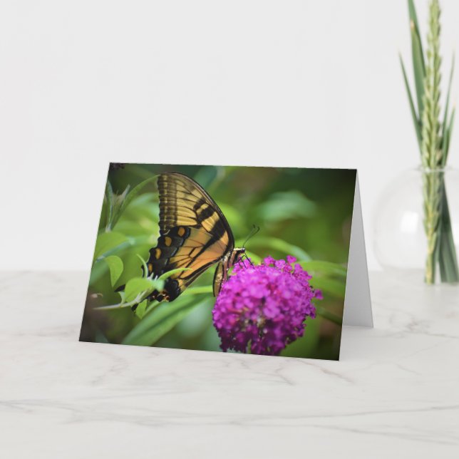 Papillon, carte (Devant)
