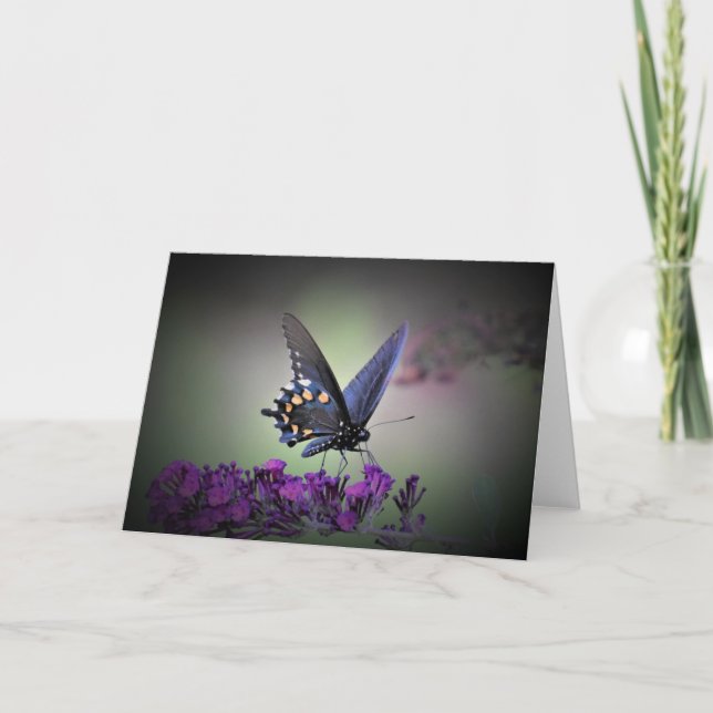 Papillon, carte (Devant)
