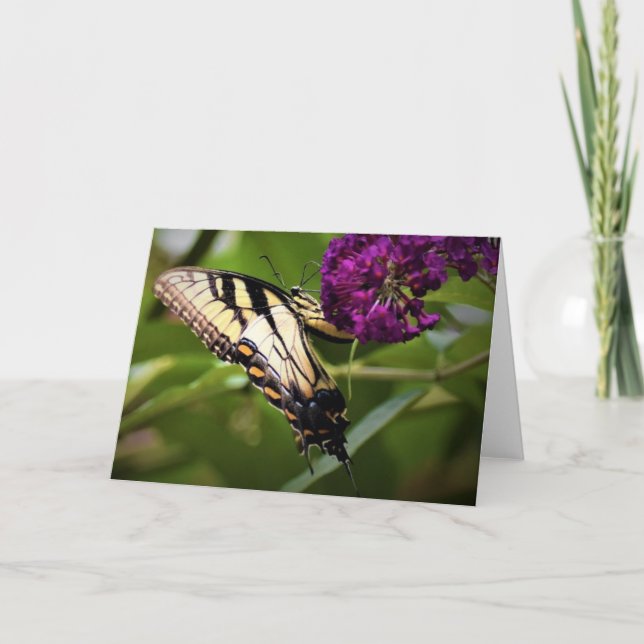 Papillon, carte (Devant)