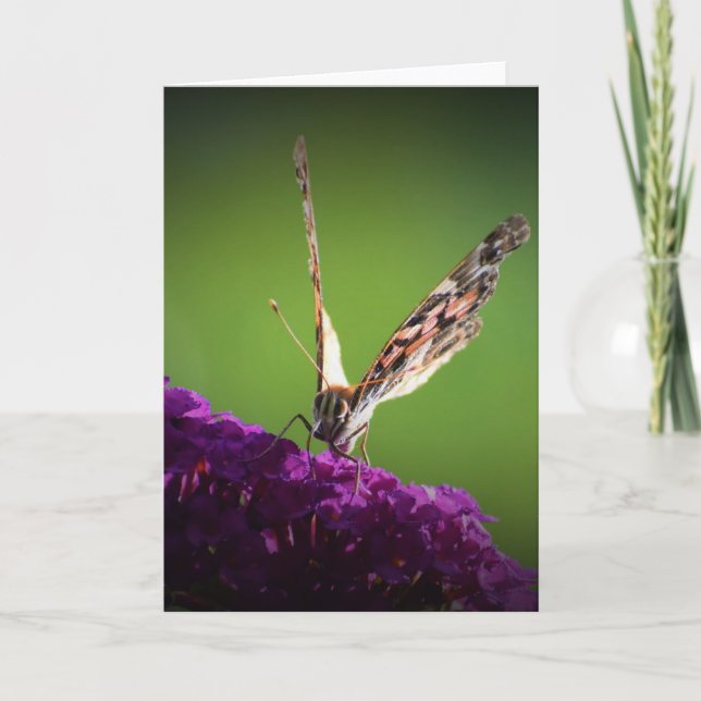 Papillon, carte (Devant)