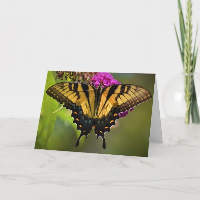 Papillon, carte (Devant)