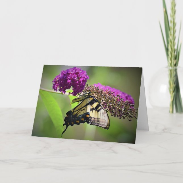 Papillon, carte (Devant)