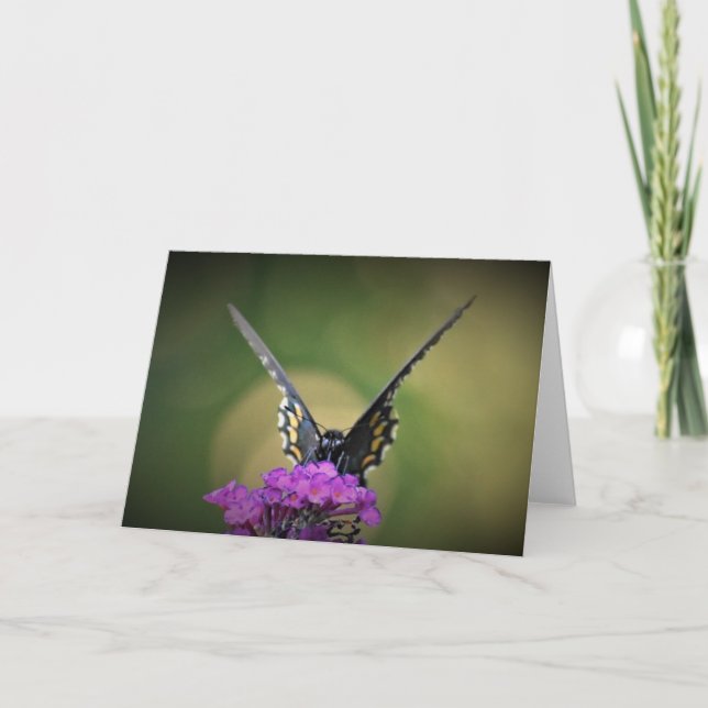 Papillon, carte (Devant)