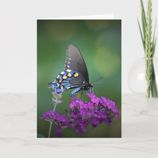 Papillon, carte (Devant)