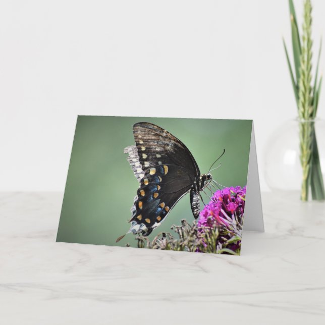 Papillon, carte (Devant)