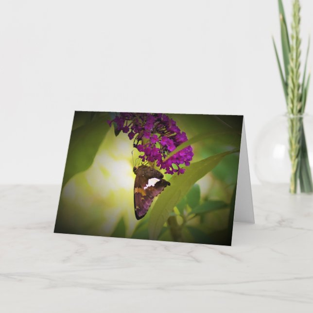 Papillon, carte (Devant)