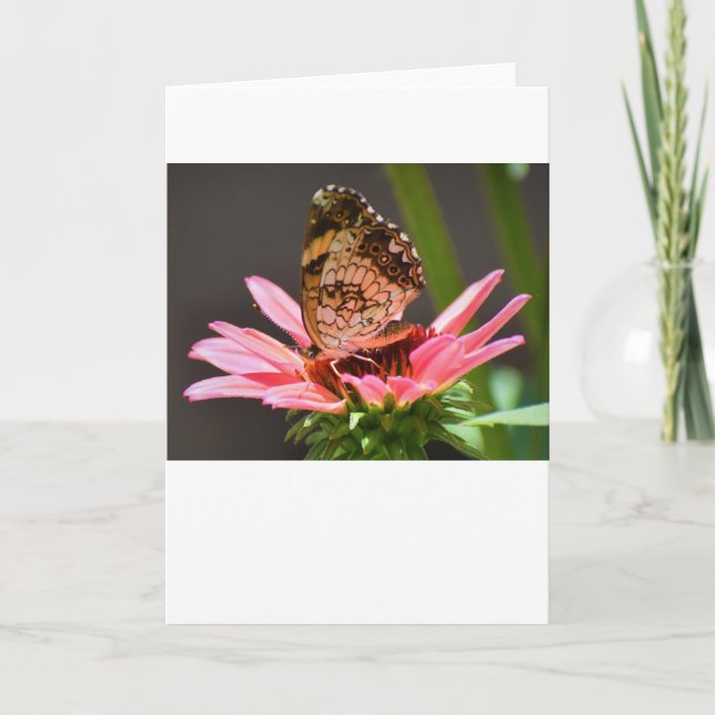 Papillon, carte (Devant)