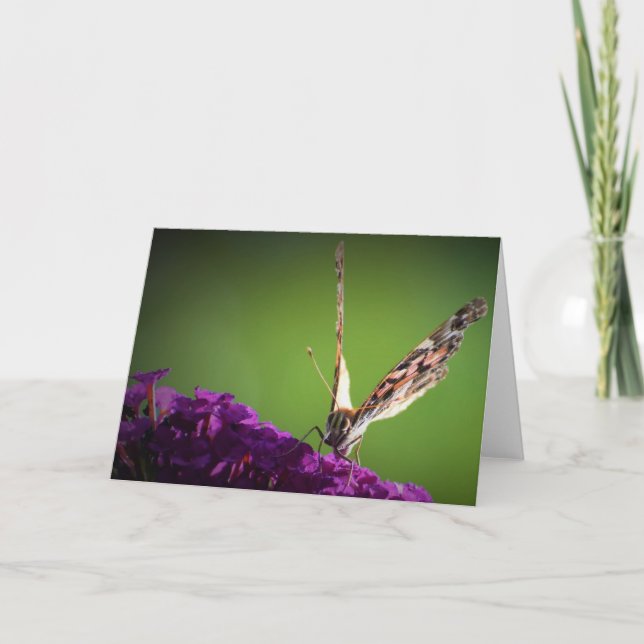 Papillon, carte (Devant)