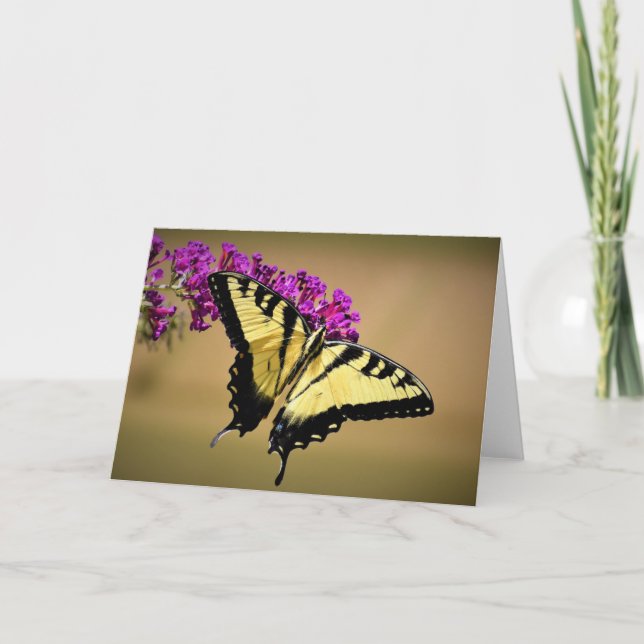 Papillon, carte (Devant)