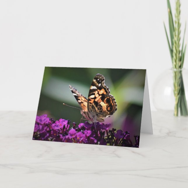 Papillon, carte (Devant)