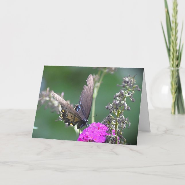 Papillon, carte (Devant)