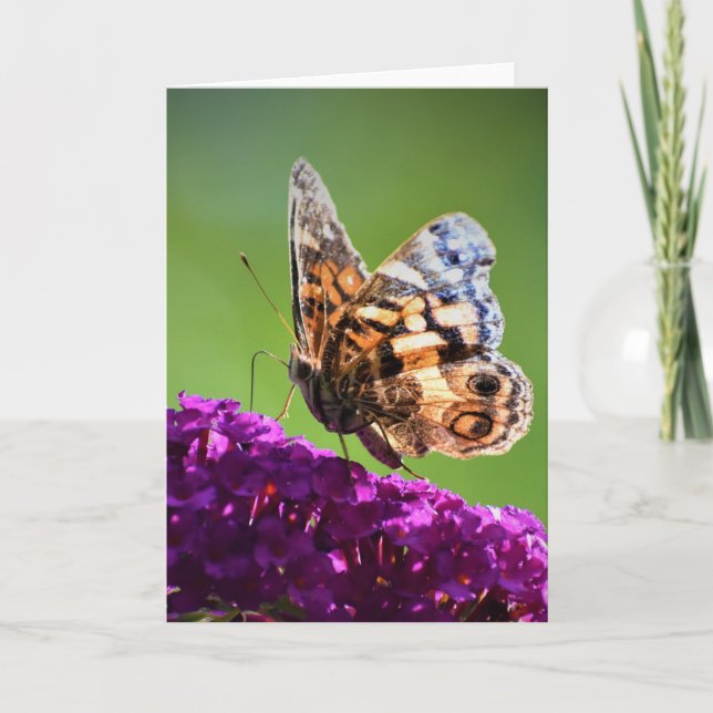 Papillon, carte (Devant)
