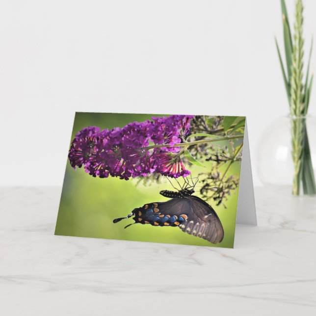 Papillon, carte (Devant)