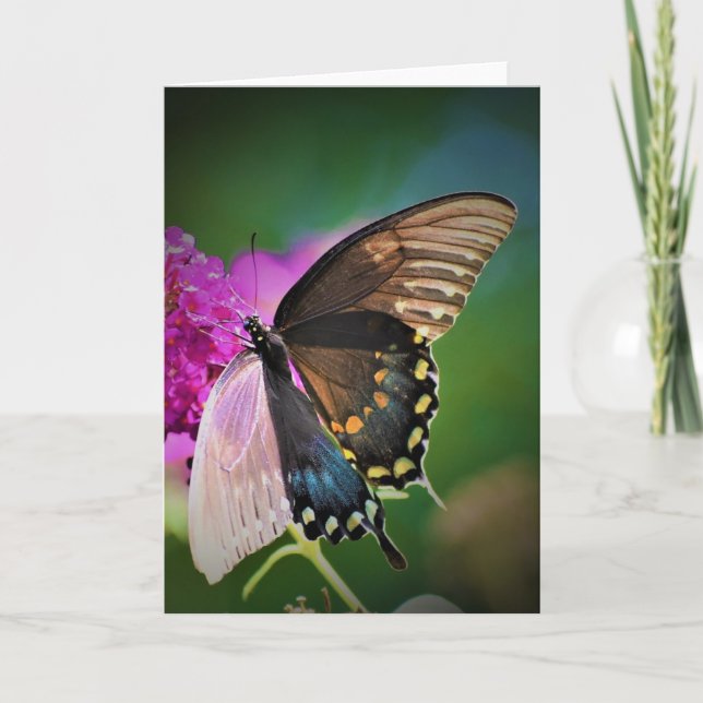 Papillon, carte (Devant)