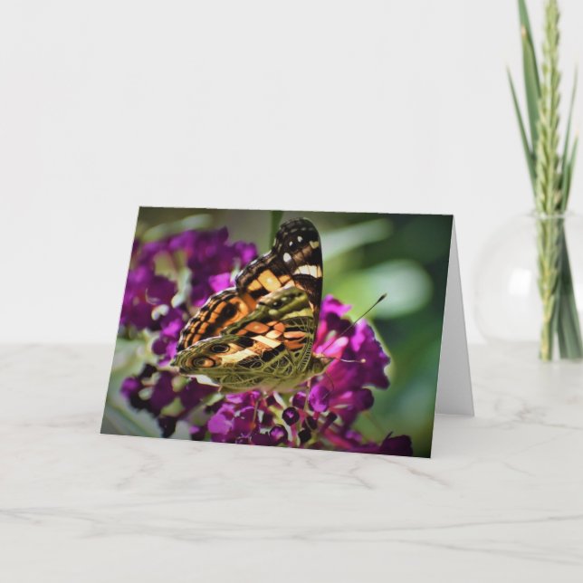 Papillon, carte (Devant)