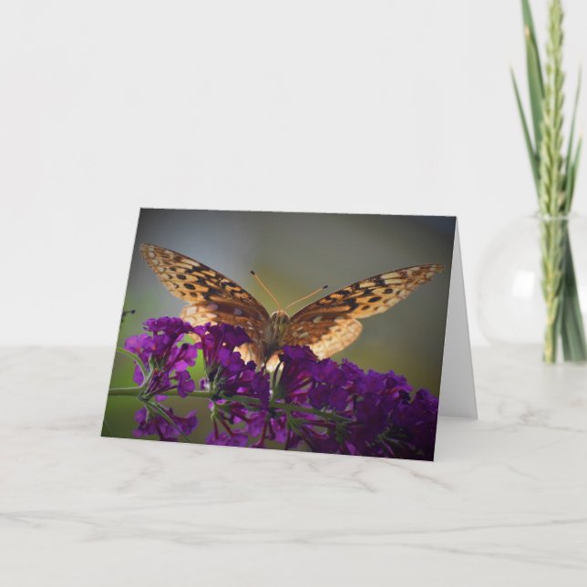 Papillon, carte (Devant)