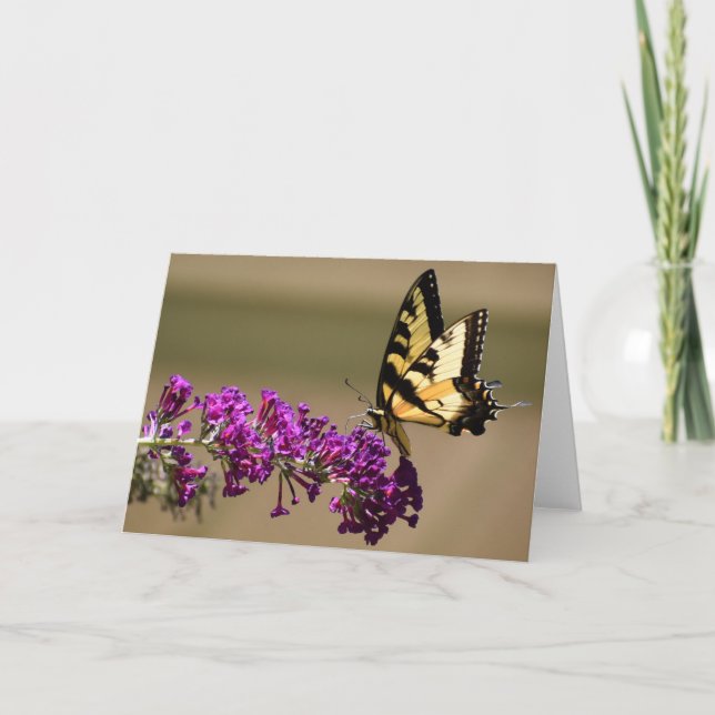 Papillon, carte (Devant)