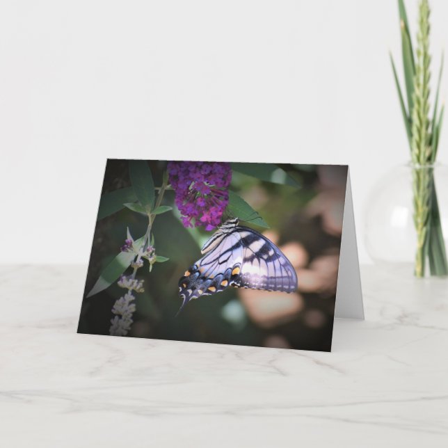 Papillon, carte (Devant)