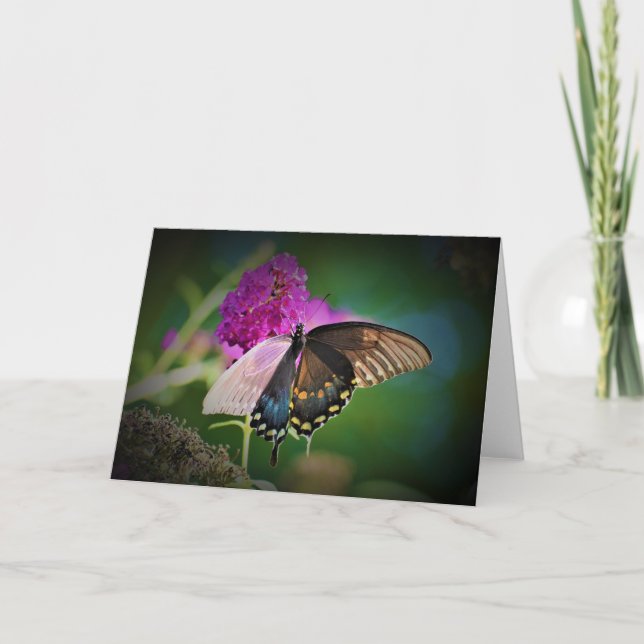 Papillon, carte (Devant)