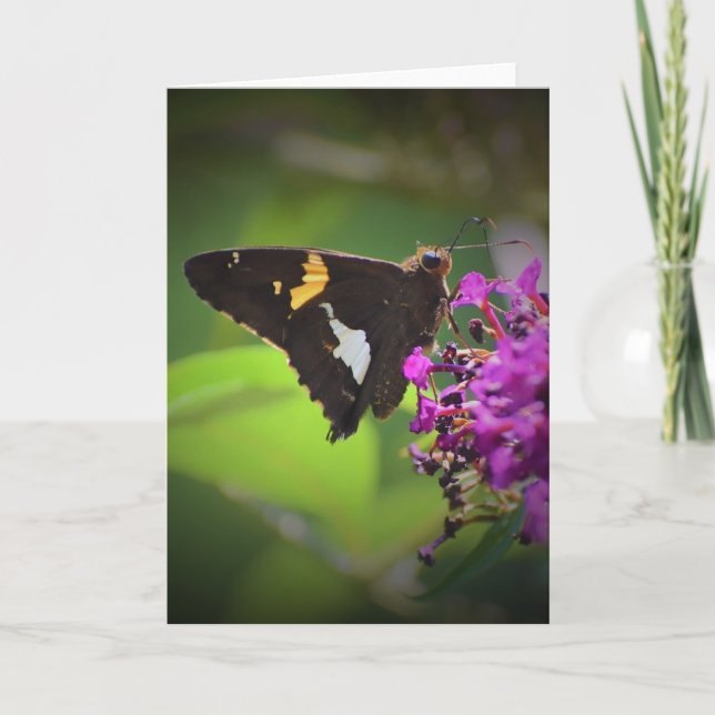 Papillon, carte (Devant)