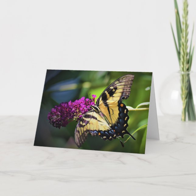 Papillon, carte (Devant)