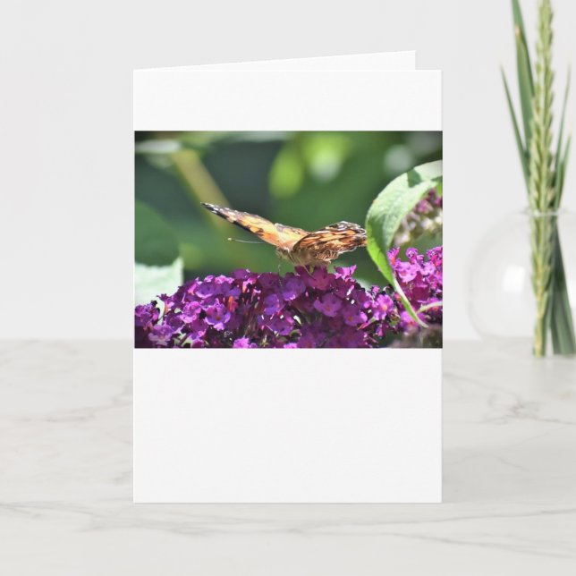 Papillon, carte (Devant)
