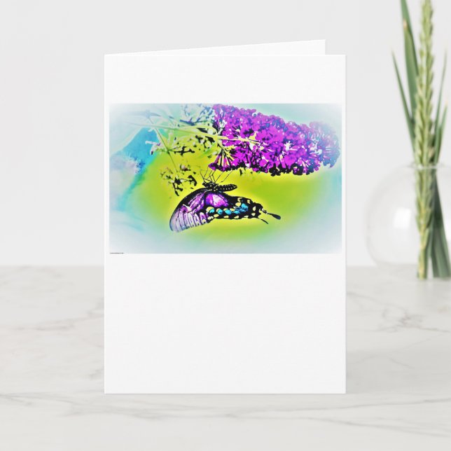 Papillon, carte (Devant)