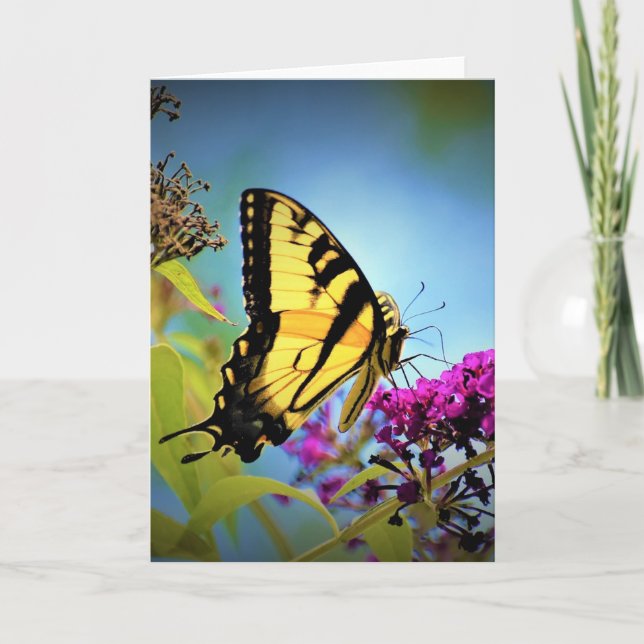 Papillon, carte (Devant)
