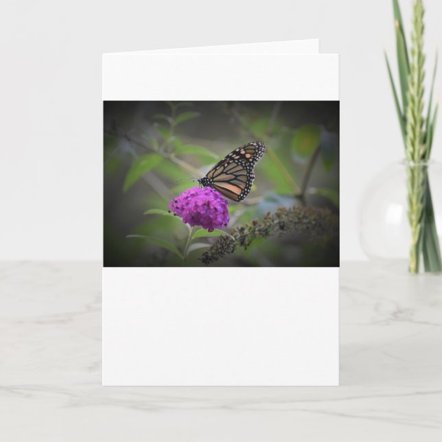 Papillon, carte (Devant)