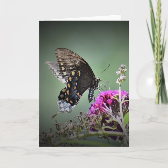 Papillon, carte (Devant)