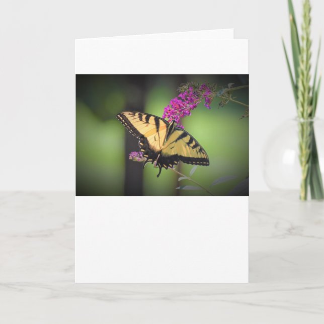 Papillon, carte (Devant)