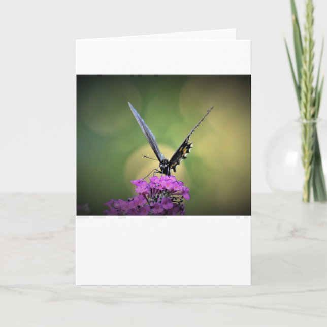 Papillon, carte (Devant)