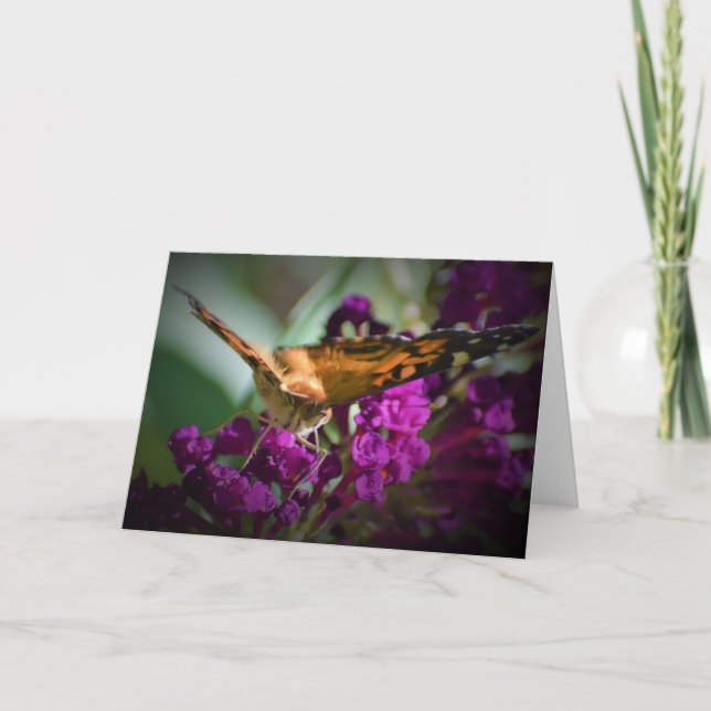 Papillon, carte (Devant)