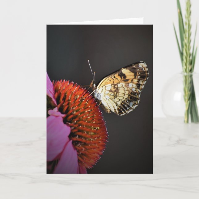 Papillon, carte (Devant)