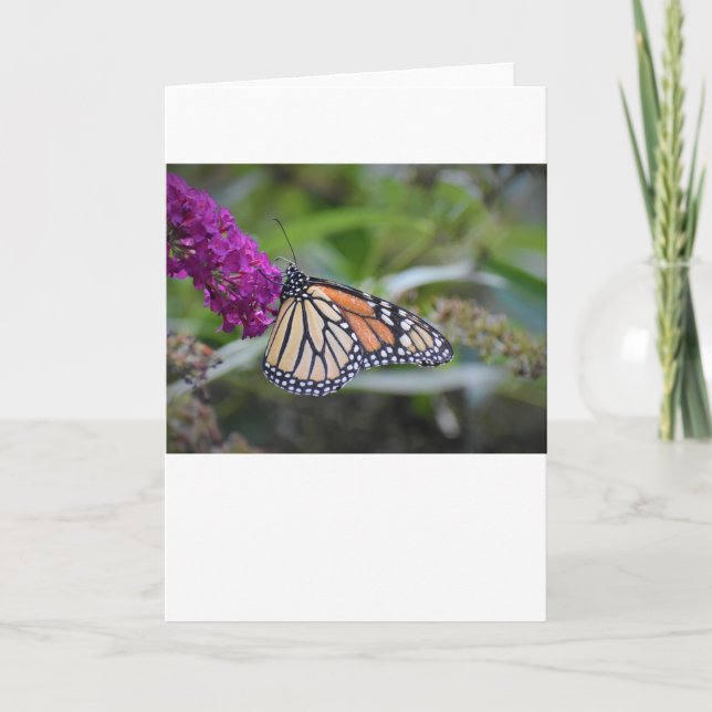 Papillon, carte (Devant)