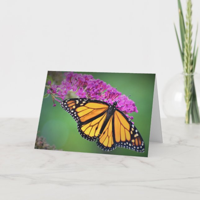 Papillon, carte (Devant)