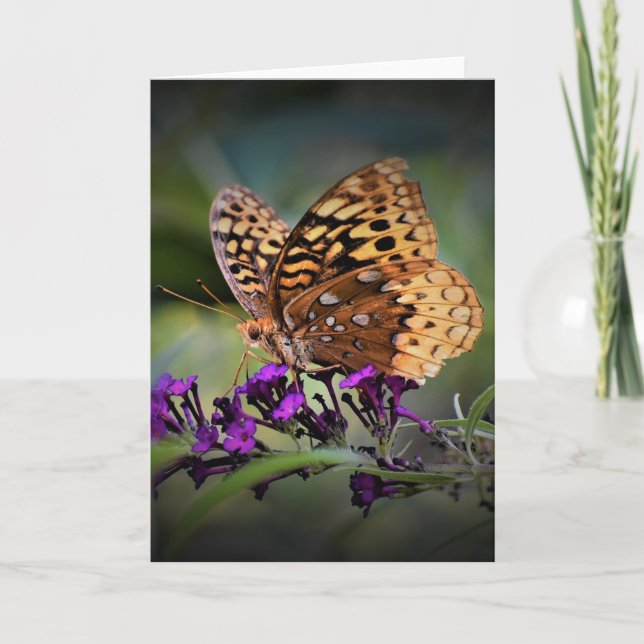 Papillon, carte (Devant)