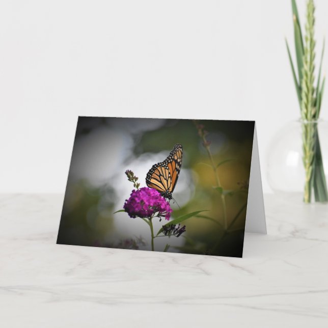 Papillon, carte (Devant)