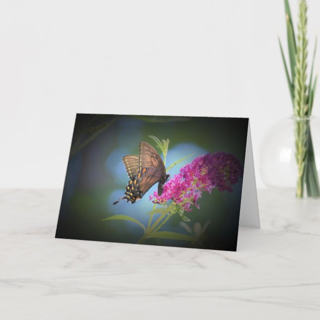 Papillon, carte (Devant)